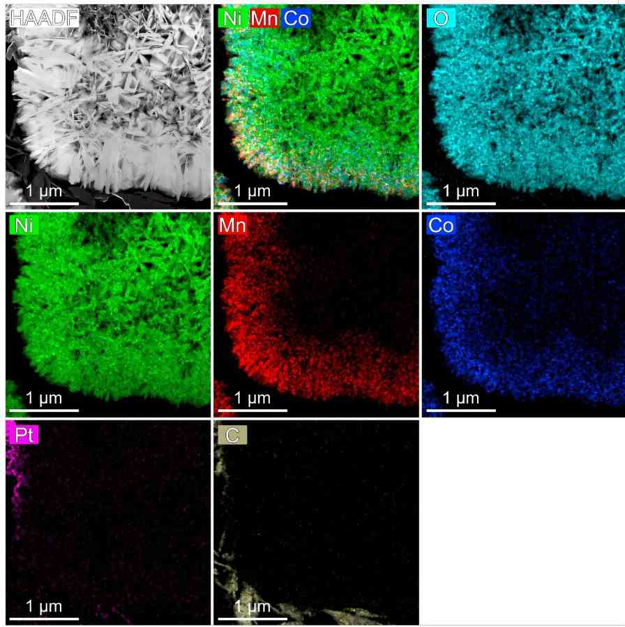 掺杂高价钽降低电池容量衰减率研究