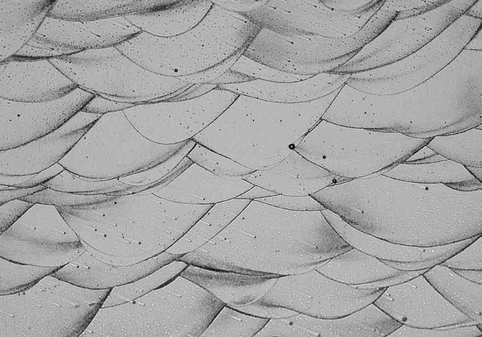 高强度耐热铝合金实现突破,金属3D打印优化性能 高强度耐热铝合金实现突破,金属3D打印优化性能