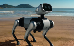 维他动力发布首款智能伴随机器人 大头BoBo机器狗开启预售